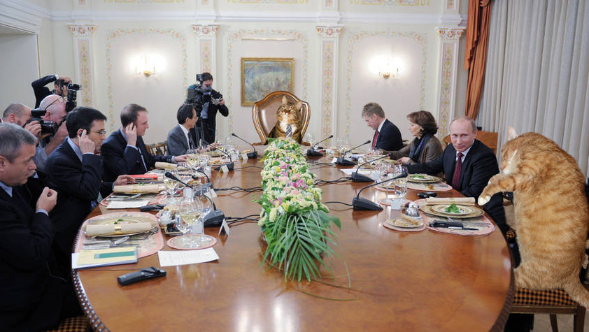 Cats Politicians meet Russian President Cats Politicians meet Russian President