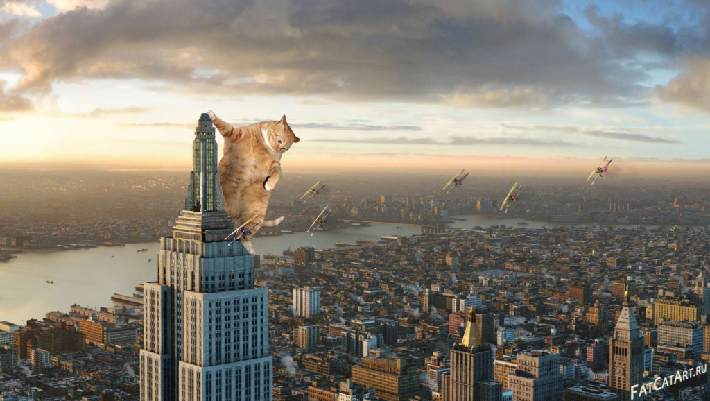 Cat Kong